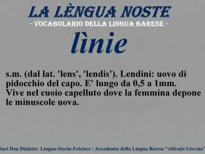 I termini dimenticati del dialetto barese